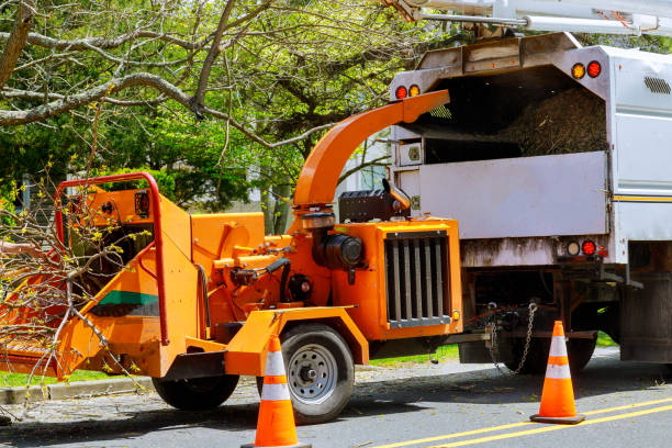 Soil Testing and Treatment in Johnstown, NY